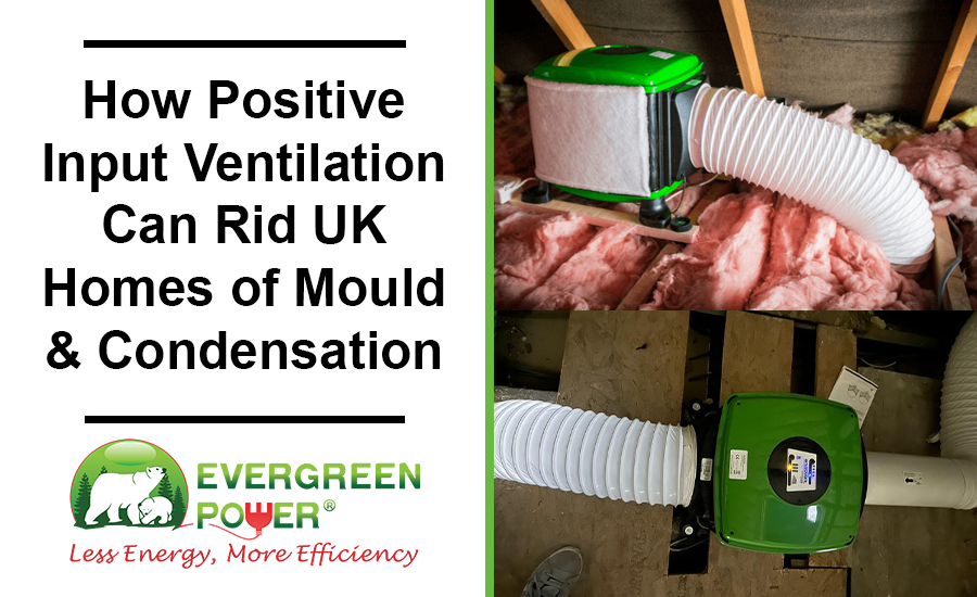 How Positive Input Ventilation Can Rid UK Homes of Mould and Condensation